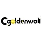 CGOLDENWALL Kit d'accessoires pour Générateur de Vapeur