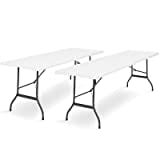 IDMarket - Lot de 2 Tables Pliantes Portables 180 CM pour Camping ou réception