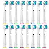 Brossette de Rechange pour Oral-b, Electrique compatibles avec Les modèles de brosses à Dents, Inclure 16 Standard Têtes de ​Rechange