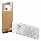 Epson Cartouche Jet dencre Originale T6069 Gris Clair 220ML