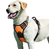 Eagloo Harnais Chien, Harnais Anti Traction pour Chien Réfléchissant Réglable, Facile à Mettre, avec Poignée Contrôle, Arnet pour Chien Solide Respirant, Harnais pour Chien Moyen et Grand, Orange, L