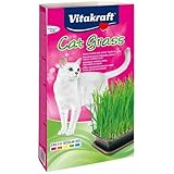 Vitakraft Cat Grass - Herbe à chat à faire pousser - Riche en vitamines et minéraux (1 x 120g)