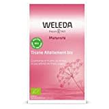 WELEDA - Tisane Allaitement Bio Fruits Rouges - Favorise la lactation - 20 Sachets de 2 g