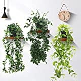 INSANYJ Plante Artificielle Tombante, 3 Pcs Vert avec Pots Extérieure Intérieure Decoration, Lierre Artificielle Fausse Plante pour Célébration, Cuisine, Jardin, Bureau