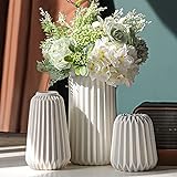 Vase Décoratif - Set de 3 Vases en Céramique Blanche,pour Décoration D'intérieur Moderne avec Herbe de Pampas,Style Bohème Minimalisme Nordique Vase Décoration