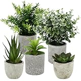 ZHYLUO 5 Pieces Plantes Artificielle, Mini Plantes artificielles Interieur Serpentine, Agave succulentes, Griffe d'aigle Aloe Vera, pour Chambre Bureau Decoration