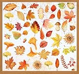 SILARLAIT Sticker Automne Fenêtre, 9 PCS Sticker Fenêtre pour Automne Amovible & Statique & Réutilisable, Double Face, Sticker Fenêtre Décoration Automne pour Vitre Vitrine Fenêtre (Feuilles)